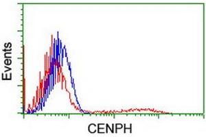 HEK293T cells transfected with either RC204531 overexpress plasmid (Red) or empty vector control plasmid (Blue) were immunostained by anti-CENPH antibody (ABIN2455250), and then analyzed by flow cytometry. (CENPH antibody)