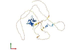 AlphaFold protein structure predicition of Mouse Recombinant Elk3 Protein, UniprotID P41971 (ELK3 Protein (AA 1-409) (His tag))