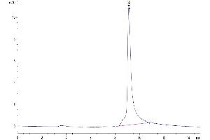 The purity of Human S100A9/MRP14 is greater than 95 % as determined by SEC-HPLC. (S100A9 Protein (AA 2-114) (His tag))