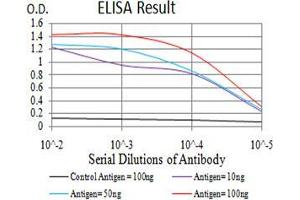ELISA image for anti-V-Akt Murine Thymoma Viral Oncogene Homolog 3 (Protein Kinase B, Gamma) (AKT3) (AA 37-150) antibody (ABIN5542569)