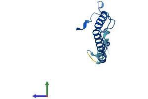 AlphaFold protein structure predicition of Human Recombinant CHCHD1 Protein, UniprotID Q96BP2 (CHCHD1 Protein (AA 1-118) (His tag))