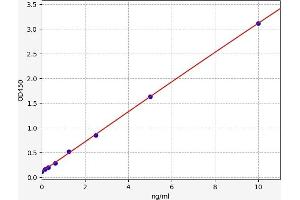 Surfactant Protein D (SFTPD) ELISA Kit