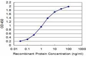 Detection limit for recombinant GST tagged SSX2 is approximately 0. (SSX2 antibody  (AA 1-223))