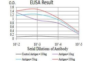 Black line: Control Antigen (100 ng);Purple line: Antigen (10ng); Blue line: Antigen (50 ng); Red line:Antigen (100 ng) (LSD1 antibody  (AA 55-263))