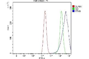 Flow Cytometry analysis of CACO-2 cells using anti-RTKN antibody (ABIN7600934). (Rhotekin antibody  (AA 255-554))