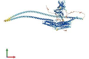 Protein Structure (PS) image for Huntingtin Interacting Protein 1 Related (HIP1R) (AA 1-1068) protein (His tag) (ABIN7565111)