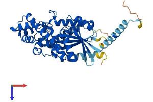 AlphaFold protein structure predicition of Mouse Recombinant Gna15 Protein, UniprotID P30678 (GNA15 Protein (AA 1-374) (His tag))