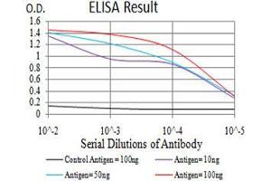 Black line: Control Antigen (100 ng), Purple line: Antigen(10 ng), Blue line: Antigen (50 ng), Red line: Antigen (100 ng), (KDM2B antibody  (AA 457-555))