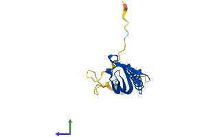Protein Structure (PS) image for Gem (Nuclear Organelle) Associated Protein 7 (GEMIN7) (AA 1-131) protein (His tag) (ABIN7547908)