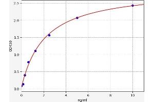 SOCS3 ELISA Kit