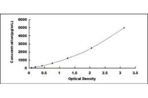 Cyclin Y ELISA Kit