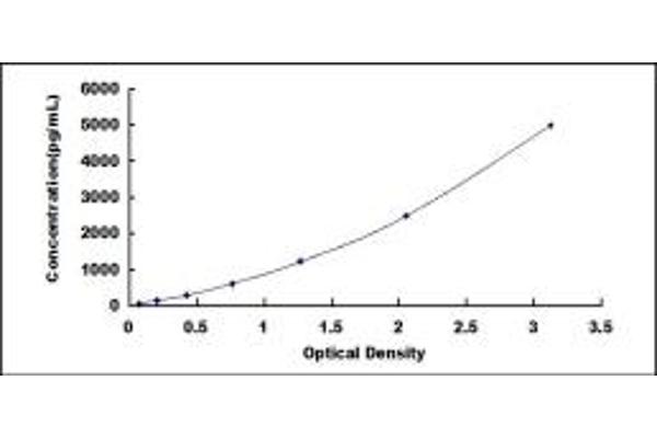 Cyclin Y ELISA Kit