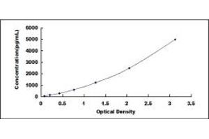 Typical standard curve (Cyclin Y ELISA Kit)