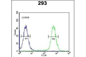 CSGALNACT2 Antibody (Center) (ABIN652723 and ABIN2842479) flow cytometric analysis of 293 cells (right histogram) compared to a negative control cell (left histogram). (CSGALNACT2 antibody  (AA 200-229))
