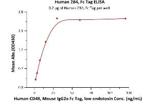 Immobilized Human 2B4, Fc Tag (ABIN2180733,ABIN2180732) at 2 μg/mL (100 μL/well) can bind Human CD48, Mouse IgG2a Fc Tag, low endotoxin (ABIN5955000,ABIN6253578) with a linear range of 2-16 ng/mL (QC tested).