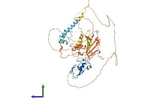 Protein Structure (PS) image for Ring Finger Protein, LIM Domain Interacting (RLIM) (AA 1-600) protein (His tag) (ABIN7565209)
