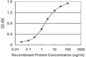 Detection limit for recombinant GST tagged SF3B4 is 0. (SF3B4 antibody  (AA 13-122))