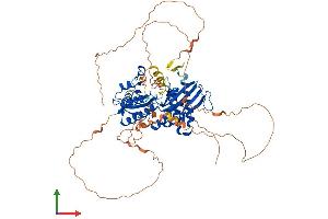 Protein Structure (PS) image for Phosphatidylinositol-4-Phosphate 5-Kinase, Type I, gamma (PIP5K1C) (AA 1-661) protein (His tag) (ABIN7562512)