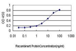 Detection limit for recombinant GST tagged CTDSP2 is approximately 0. (CTDSP2 antibody  (AA 1-271))