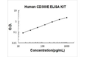Typical Standard Curve