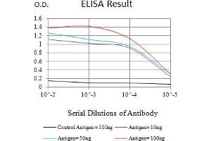 Black line: Control Antigen (100 ng),Purple line: Antigen (10 ng), Blue line: Antigen (50 ng), Red line:Antigen (100 ng) (IGF2BP3 antibody  (AA 430-579))