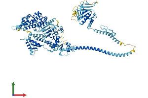Protein Structure (PS) image for Myosin IA (MYO1A) (AA 1-1043) protein (His tag) (ABIN7562592)
