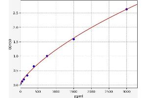 proBNP ELISA Kit