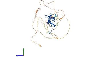 AlphaFold protein structure predicition of Human Recombinant ELK4 Protein, UniprotID P28324