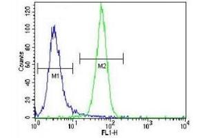 Flow Cytometry (FACS) image for anti-GTPase NRas (NRAS) (AA 72-101) antibody (ABIN3031130)