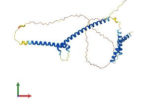 AlphaFold protein structure predicition of Mouse Recombinant Mlx Protein, UniprotID O08609 (MLX Protein (AA 1-298) (His tag))