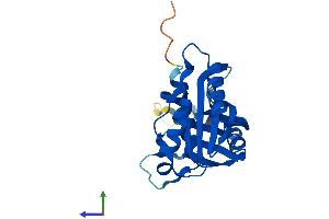Protein Structure (PS) image for Mediator Complex Subunit 20 (MED20) (AA 1-212) protein (His tag) (ABIN7556204)