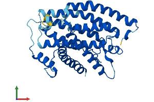 Protein Structure (PS) image for Mitochondrially Encoded NADH Dehydrogenase 1 (MT-ND1) (AA 1-318) protein (His tag) (ABIN7562730)