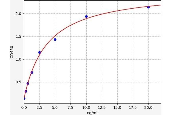 HLA-B27 ELISA Kit