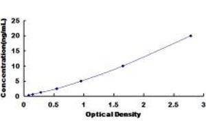 Typical standard curve (MAP3K6 ELISA Kit)