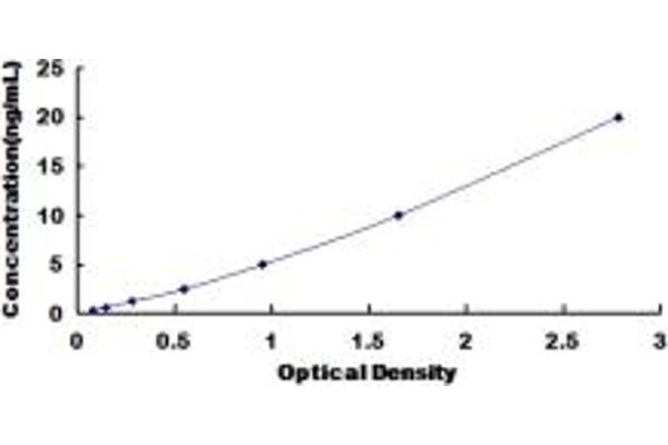 MAP3K6 ELISA Kit