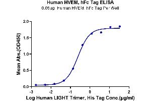 Immobilized Human HVEM, hFc Tag at 0. (HVEM Protein (AA 39-202) (Fc Tag))