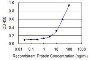 Detection limit for recombinant GST tagged TEX28 is 0. (TEX28 antibody  (AA 1-410))