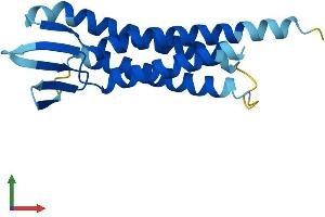AlphaFold protein structure predicition of Mouse Recombinant Lim2 Protein, UniprotID P56563 (LIM2 Protein (AA 1-173) (His tag))