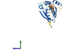 AlphaFold protein structure predicition of Mouse Recombinant Rab38 Protein, UniprotID Q8QZZ8