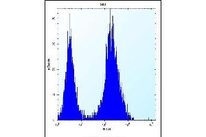 CDCA8 Antibody (N-term) (ABIN656687 and ABIN2845924) flow cytometric analysis of 293 cells (right histogram) compared to a negative control cell (left histogram). (CDCA8 antibody  (N-Term))
