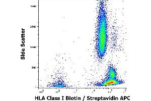 Flow cytometry surface staining pattern of human peripheral whole blood stained using anti-human HLA Class I (W6/32) Biotin antibody (concentration in sample 4 μg/mL, Streptavidin APC). (MICA antibody  (Biotin))