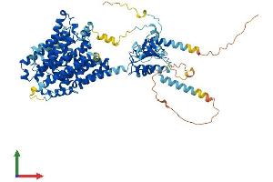 AlphaFold protein structure predicition of Mouse Recombinant Slc26a5 Protein, UniprotID Q99NH7