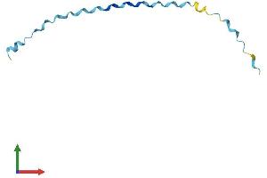 Protein Structure (PS) image for Small Proline-Rich Protein 2E (SPRR2E) (AA 1-72) protein (Fc Tag) (ABIN7546412)