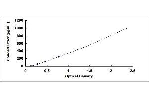 Typical standard curve (GFAP ELISA Kit)