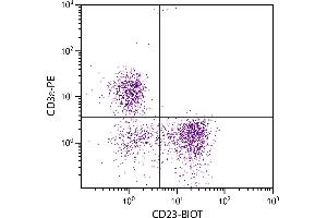 BALB/c mouse splenocytes were stained with Rat Anti-Mouse CD23-BIOT. (FCER2 antibody  (Biotin))