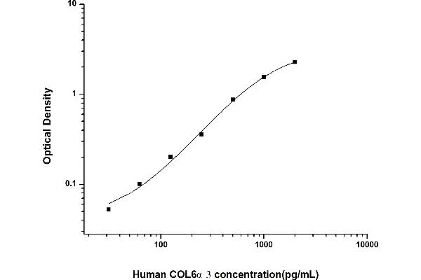 COL6a3 ELISA Kit