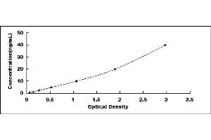 Typical standard curve (Osteocalcin ELISA Kit)