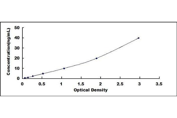 Osteocalcin ELISA Kit