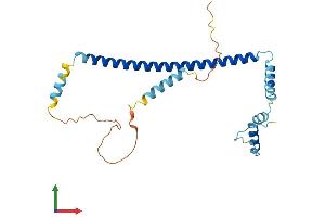 AlphaFold protein structure predicition of Mouse Recombinant Cltb Protein, UniprotID Q6IRU5 (CLTB Protein (AA 1-229) (His tag))