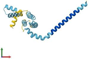 AlphaFold protein structure predicition of Mouse Recombinant Reep5 Protein, UniprotID Q60870 (REEP5 Protein (AA 1-185) (His tag))